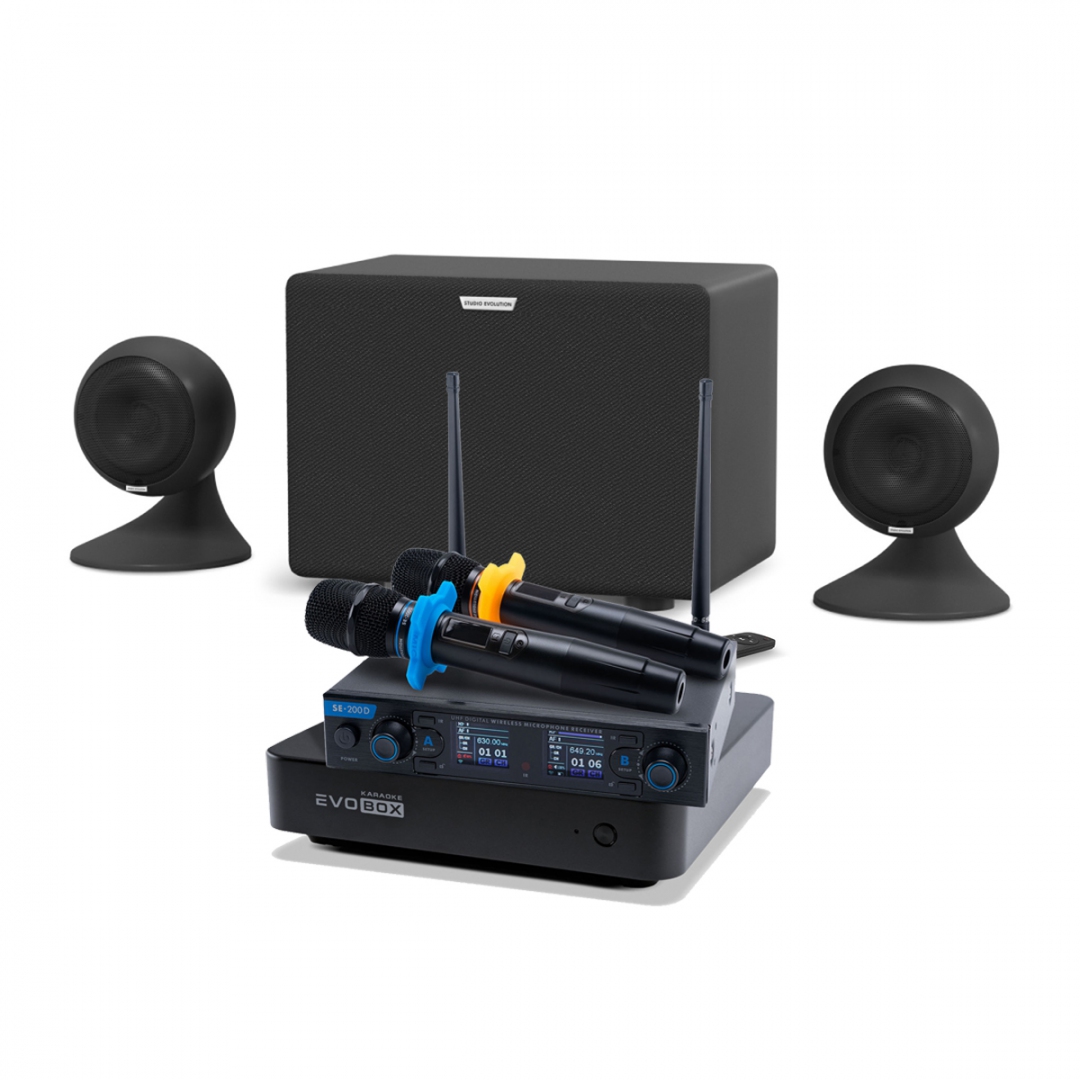 караоке-комплект EVOBOX + EvoSound Sphere 2.1 в Яшкино