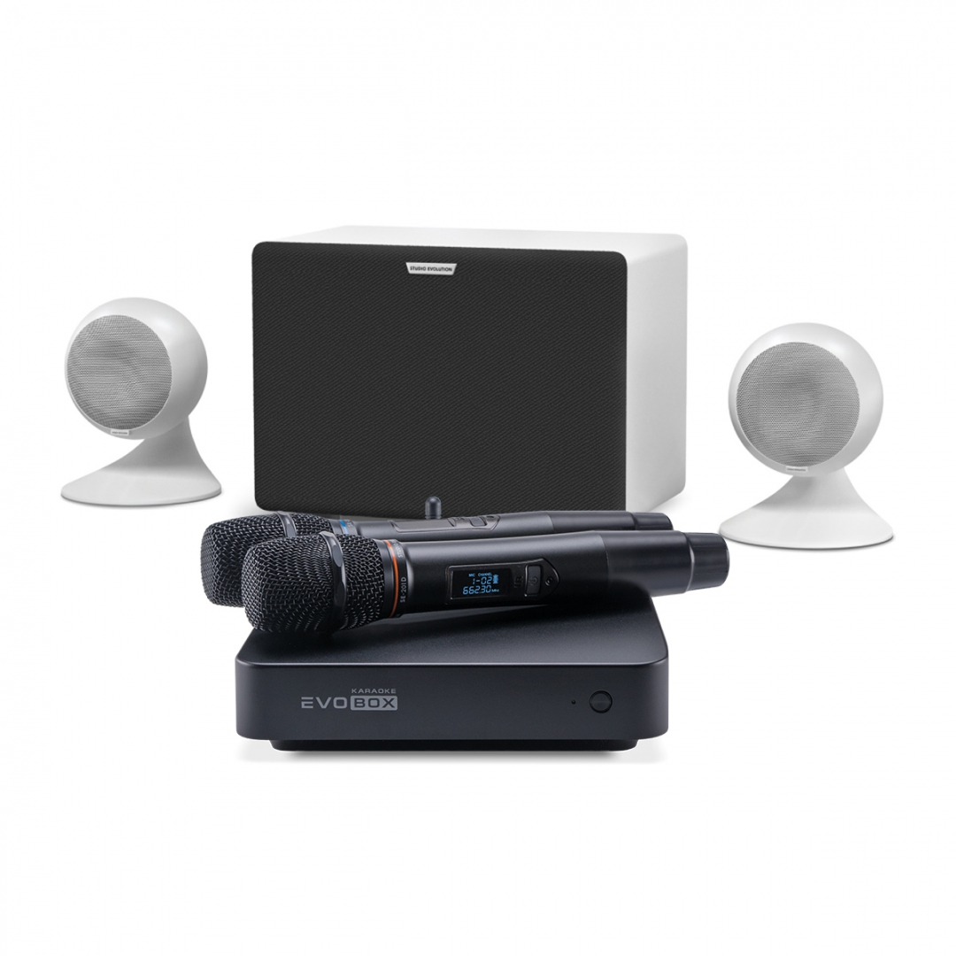 караоке-комплект EVOBOX Classic + EvoSound Sphere 2.1 в Яшкино