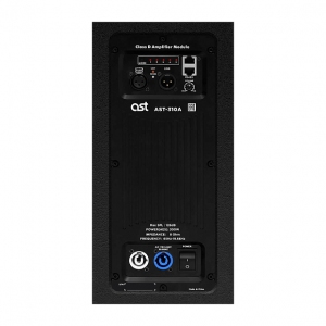 Активная акустическая система AST-310A в Яшкино