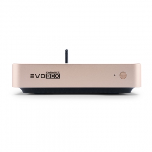 EVOBOX Plus караоке-система для дома в Яшкино