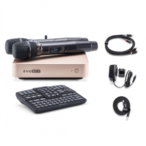 EVOBOX Plus караоке-система для дома в Яшкино