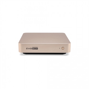 EVOBOX с микрофонами в Яшкино